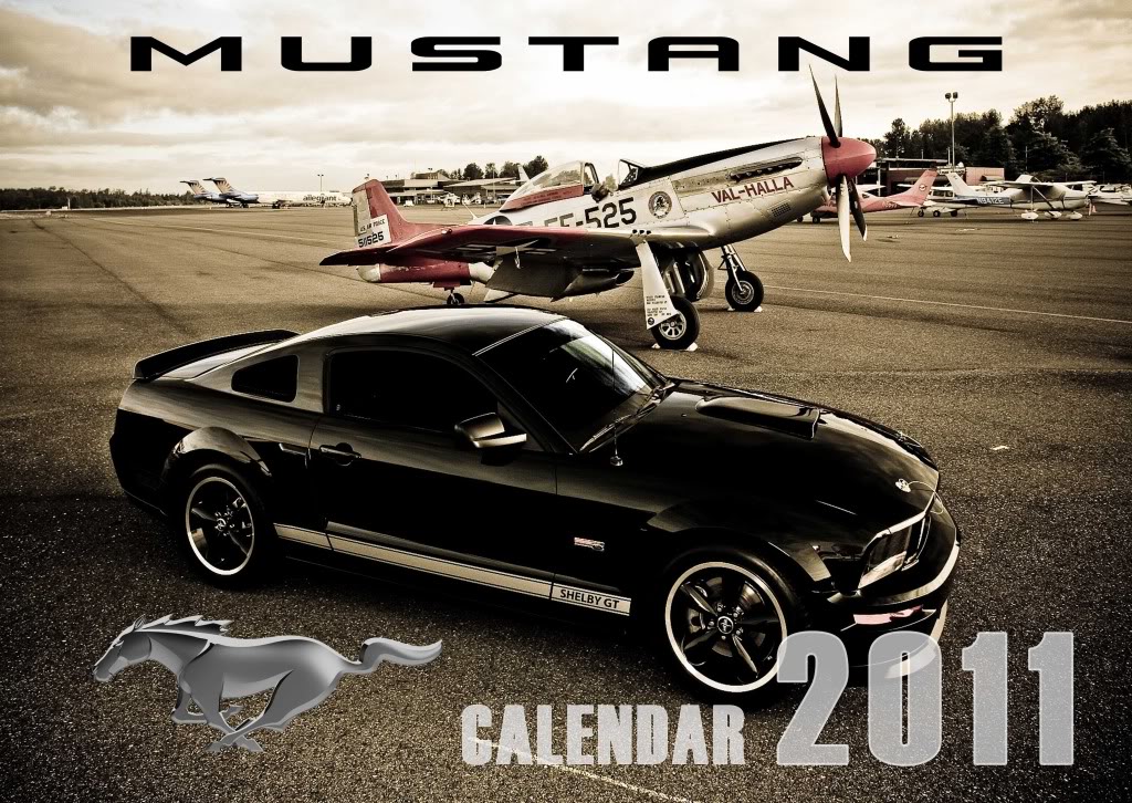 Name:  mustang_cover.jpg
Views: 172
Size:  224.6 KB